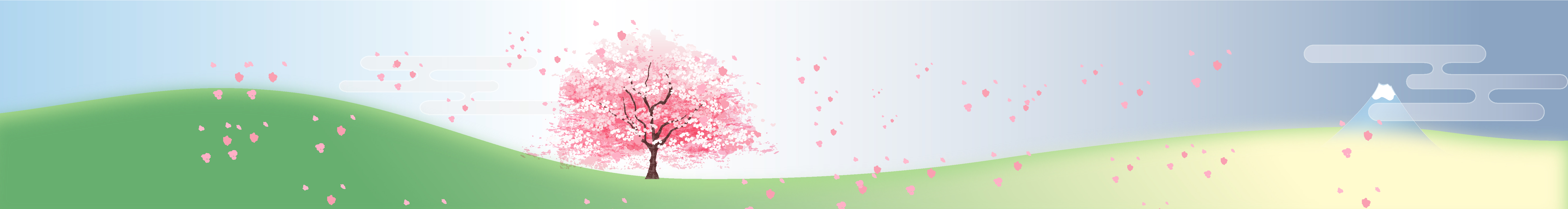 sakura: celebration and sadness…